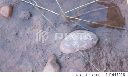 Stones Submerged in Shallow Water and Mud Stones Submerged in Shallow Water and Mud 141645618