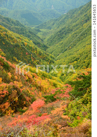 山形縣岩戶山十月：深秋時節，山谷間漸漸染上了絢麗的色彩。 141645653