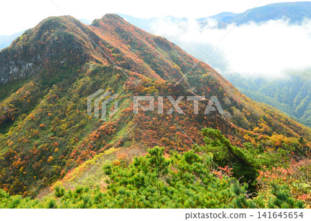 山形縣岩頭山的秋天:山頂被紅色和黃色裝點,令沿著山脊行走的登山者賞心悅目。 山形縣岩頭山的秋天:山頂被紅色和黃色裝點,令沿著山脊行走的登山者賞心悅目。 141645654