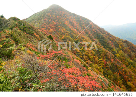 十月的山形縣岩頭山:秋葉覆蓋山坡,山頂微微籠罩在薄霧之中。 十月的山形縣岩頭山:秋葉覆蓋山坡,山頂微微籠罩在薄霧之中。 141645655