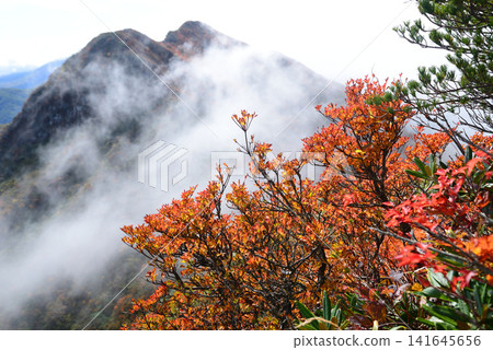 秋季,我在山形縣岩頭山的薄霧中徒步旅行時,眼前出現的秋葉促使我抬頭仰望,漂浮在雲霧中的山頂也披上了色彩。 秋季,我在山形縣岩頭山的薄霧中徒步旅行時,眼前出現的秋葉促使我抬頭仰望,漂浮在雲霧中的山頂也披上了色彩。 141645656
