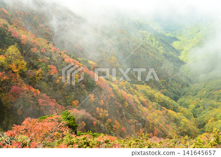 十月,秋意漸濃,山形縣岩頭山麓的晨霧漸漸消散,秋葉也開始變色,傾斜的陽光灑下,晨霧也隨之散去。 十月,秋意漸濃,山形縣岩頭山麓的晨霧漸漸消散,秋葉也開始變色,傾斜的陽光灑下,晨霧也隨之散去。 141645657