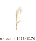 An illustration of several brown, withered pampas grass stalks in autumn. 141646170