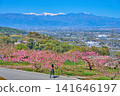 View to the west from the Sakazukizuka Kofun in Fuefuki City Yashiro Furusato Park, Fuefuki City, Yamanashi Prefecture (Peach blossoms, Southern Alps, Kofu Basin, Southern Alps) 141646197
