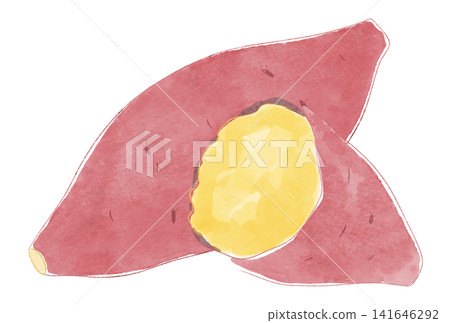 地瓜插畫,水彩風格 地瓜插畫,水彩風格 141646292