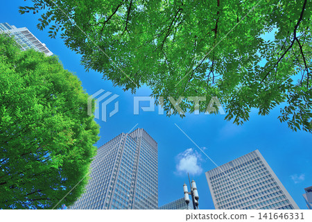 Marunouchi Tall Building Marunouchi Tall Building 141646331