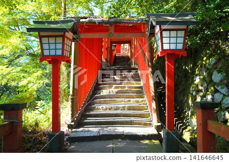 Taikodani Inari Shrine: A magnificent vermilion-lacquered shrine building against a blue sky. One of Japan's five major Inari shrines and a popular tourist spot in Tsuwano. Taikodani Inari Shrine: A magnificent vermilion-lacquered shrine building against a blue sky. One of Japan's five major Inari shrines and a popular tourist spot in Tsuwano. 141646645