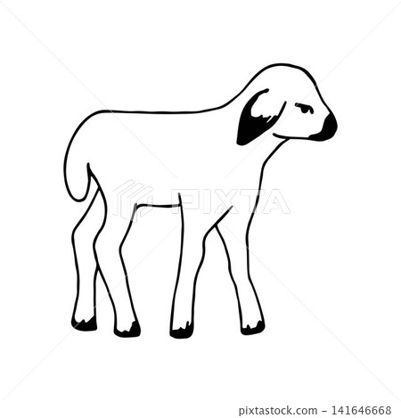 Simple hand-drawn black outline vector drawing. Little cute lamb isolated on a white background. Farm animals, livestock breeding, zoo. Simple hand-drawn black outline vector drawing. Little cute lamb isolated on a white background. Farm animals, livestock breeding, zoo. 141646668