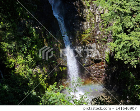 Shasui Falls, one of Japan's Top 100 Waterfalls Shasui Falls, one of Japan's Top 100 Waterfalls 141646907