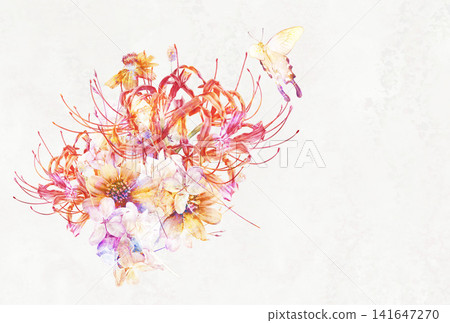 一束秋季花卉,包括蜘蛛百合和波斯菊,一隻鳳蝶停在上面。 一束秋季花卉,包括蜘蛛百合和波斯菊,一隻鳳蝶停在上面。 141647270