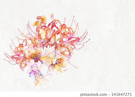 秋季蜘蛛百合和波斯菊花束 141647271
