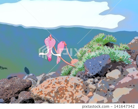 Dicentra peregrina blooming on a rock (afw20260708093905) 141647342