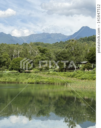在池塘反映的山 141647512