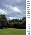 公園在一個晴天 141647515