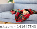 A Chihuahua relaxing wrapped in a blanket at home. 141647543