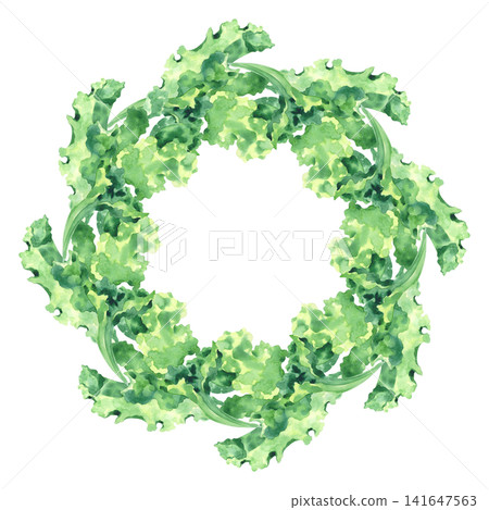 Wreath of the lettuce. Watercolor illustration. Handmade art work. For packaging design, cards, cover, prints, product labels and fabric. Wreath of the lettuce. Watercolor illustration. Handmade art work. For packaging design, cards, cover, prints, product labels and fabric. 141647563
