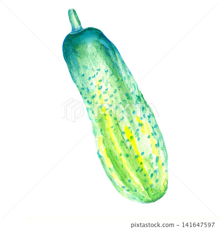 Fresh cucumber watercolor illustration. Hand drawn clipart for food menus, recipe cards, and decor. Fresh cucumber watercolor illustration. Hand drawn clipart for food menus, recipe cards, and decor. 141647597
