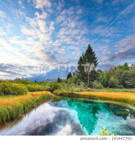 Gorgeous summer view on Zelenci lake with beautiful reflections in water. Gorgeous summer view on Zelenci lake with beautiful reflections in water. 141647705