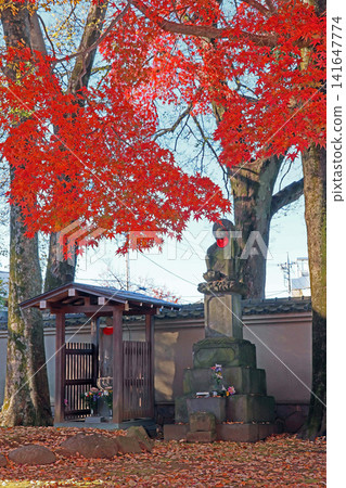 Aizen-in (Nerima) Aizen-in (Nerima) 141647774