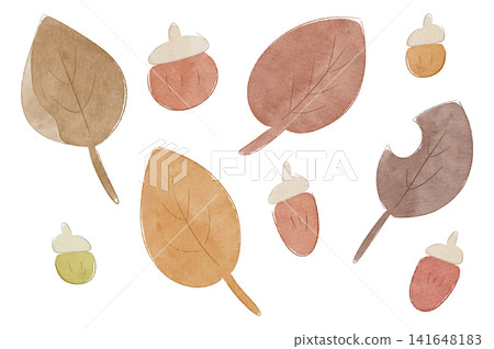 A set of watercolor-style illustrations of fallen leaves and acorns. A set of watercolor-style illustrations of fallen leaves and acorns. 141648183
