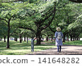 盛夏時節，幾位老年婦女在樹蔭下享受清涼。 141648282