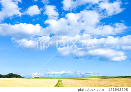 初秋時節，北海道美瑛市碧空如洗，景色清新雅緻。 141648298