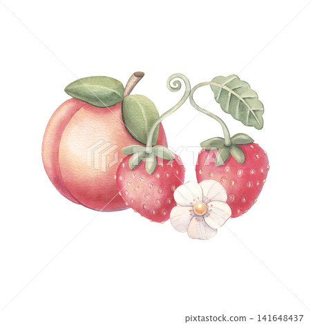 Peach with leaves and strawberry with leaf, blossom. Hand-painted watercolor illustration isolated on white for food branding, packaging, cards, stickers, recipes, decor, posters, textile, prints Peach with leaves and strawberry with leaf, blossom. Hand-painted watercolor illustration isolated on white for food branding, packaging, cards, stickers, recipes, decor, posters, textile, prints 141648437
