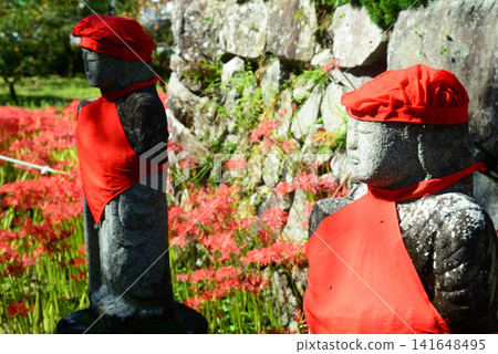九月，栃木縣鹿沼市的常樂寺，寺廟庭院裡盛開著彼岸花，與花朵相配的圍裙和頭巾，與石佛像一起顯得格外美麗。 141648495