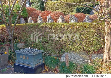 Jorenji Temple (Itabashi) Jorenji Temple (Itabashi) 141648548