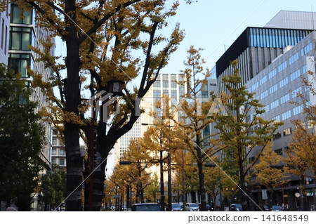 Autumn scenery along Osaka's Midosuji Avenue Autumn scenery along Osaka's Midosuji Avenue 141648549