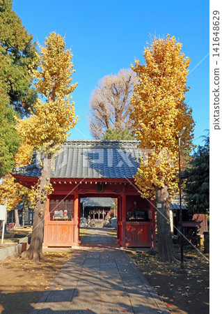 Akatsuka Suwa Shrine Akatsuka Suwa Shrine 141648629