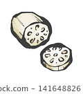 Hand-drawn brushstroke style illustration of lotus root 141648826