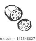 Hand-drawn brushstroke style illustration of lotus root 141648827