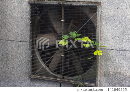 An aged industrial ventilation fan behind a rusted metal grate, with a small green plant An aged industrial ventilation fan behind a rusted metal grate, with a small green plant 141649235