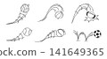 Vector set of hand drawn sports balls with dynamic sketch lines, flying motion, speed effects and isolated game icons for design. 141649365