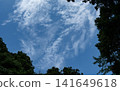 Summer sky 141649618