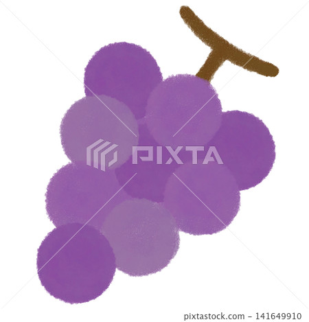 Illustration of autumn grapes Illustration of autumn grapes 141649910