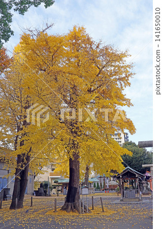 千手神社(足立) 千手神社(足立) 141650010