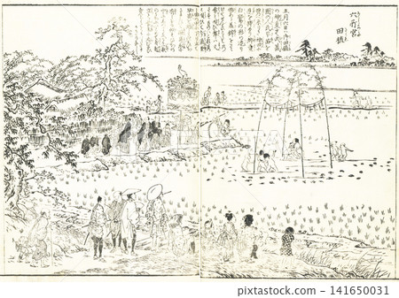Edo Meisho Zue (Illustrated Guide to Famous Places of Edo): Rokushogu Shrine, Rice Planting Edo Meisho Zue (Illustrated Guide to Famous Places of Edo): Rokushogu Shrine, Rice Planting 141650031
