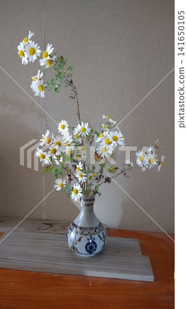 花瓶裡的野生菊花 花瓶裡的野生菊花 141650105