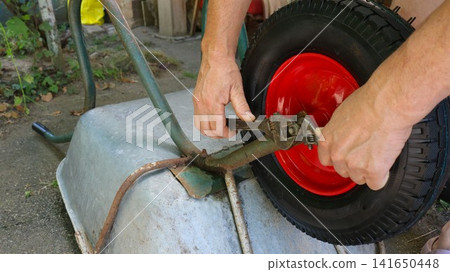 The photo shows a close-up of the hands of a man repairing an overturned construction wheelbarrow. Using an adjustable wrench, he tightens the axle lugs of a new wheel with a red rim and black tire. 141650448