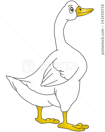 Hand-drawn animal illustration ☆ Duck Hand-drawn animal illustration ☆ Duck 141650558