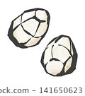 Taro hand-drawn illustration 141650623