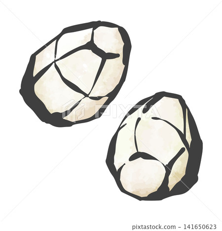 Taro hand-drawn illustration Taro hand-drawn illustration 141650623