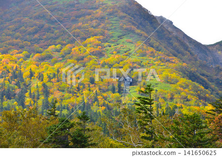 Autumn Daisetsuzan Kurodake Autumn Daisetsuzan Kurodake 141650625