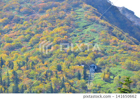 Autumn Daisetsuzan Kurodake Autumn Daisetsuzan Kurodake 141650662