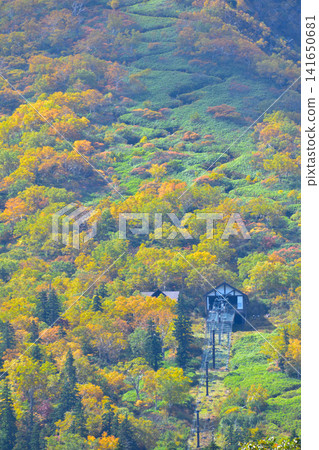 Autumn Daisetsuzan Kurodake Autumn Daisetsuzan Kurodake 141650681