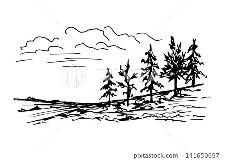 Hand-drawn ink vector illustration in the engraving style. A simple landscape of coniferous trees on a hill, grass, sky with clouds. Nature, forest, travel, tourism. For cards, stickers, prints. 141650697