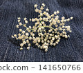 Elderflower 141650766