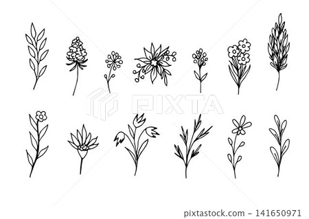 Simple vector freehand set of black outline. The contour of delicate flowers, twigs, leaves, bouquets, field grass in a rustic style on a white background. Elements of nature, plants for decoration. 141650971